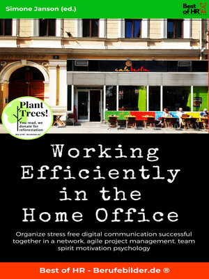 Working Efficiently in the Home Office - ebook